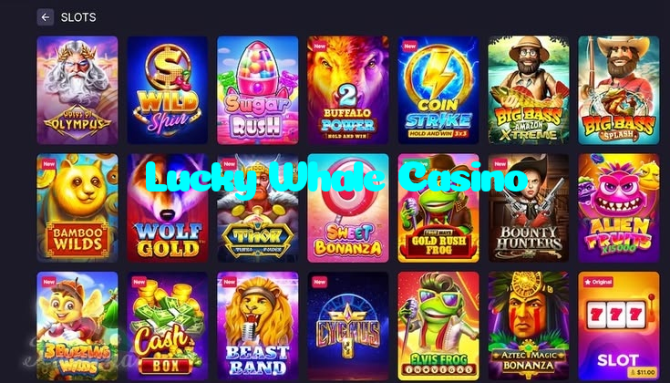 available types of Lucky Whale Casino bet including pre-match live express and system bets